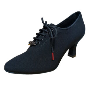 T2 キャンバス BDdance